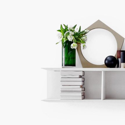 telescopic dog ramp - Professional Guide and Review