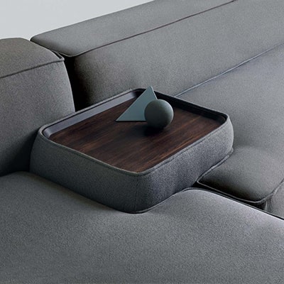 dog in a seat belt during real owner road trip