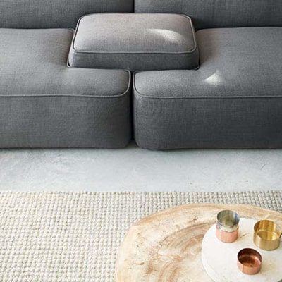 dog wagon - Professional Guide and Review