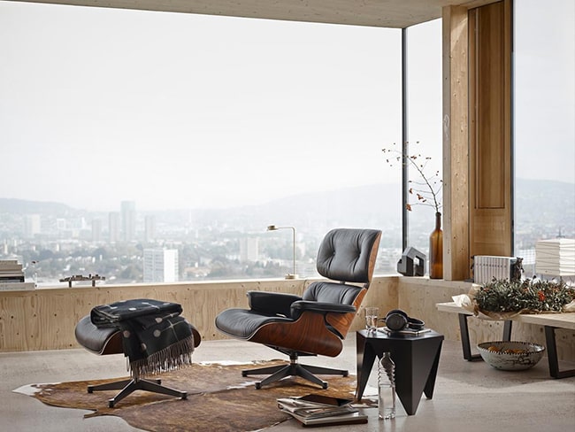 dog collar custom shopping selection showing different price points and feature comparisons