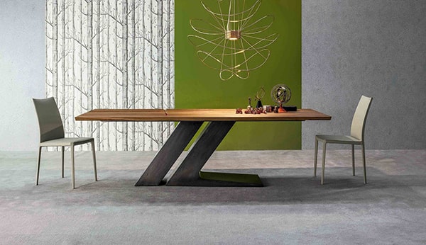 dog caterpillar - Professional Guide and Review