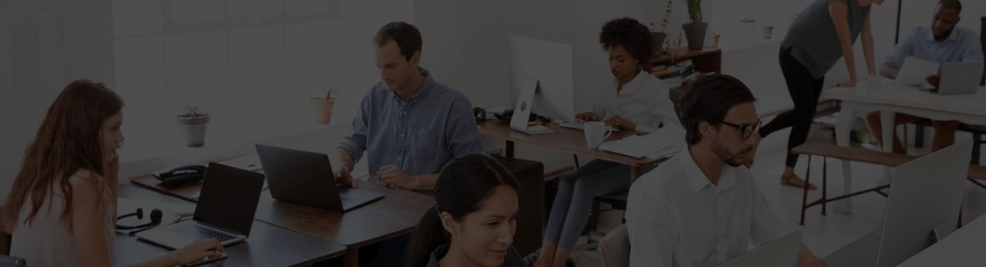 meat & treat - Professional Guide and Review