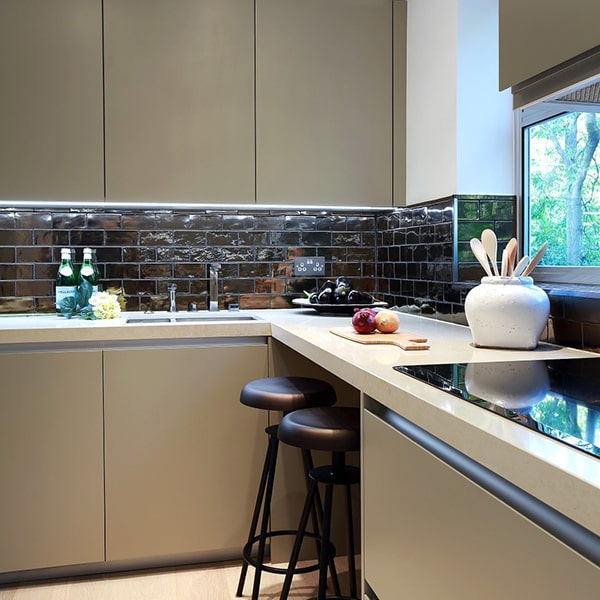 pet brush comparison lineup showing bristle density differences