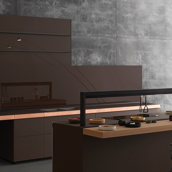 best dog leads comparison showing different types