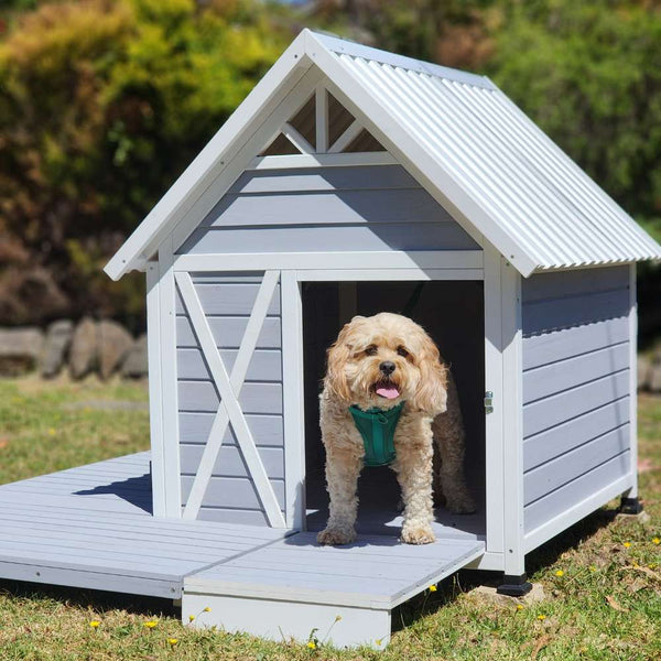 laser pointer with usb shown beside Mini Hamptons Lockable Wooden Dog House