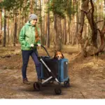 Ibiyaya BigBuddy Pet Stroller and Crate Combo, Crystal Teal - Image 9