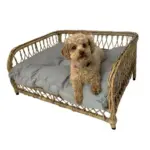 Jacob Outdoor Wicker Rope Elevated Dog Bed, Natural
