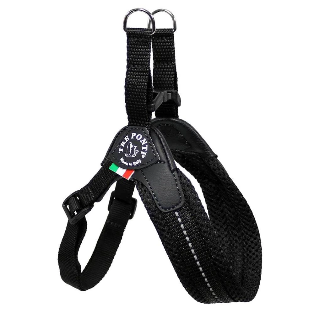 dog plush toy attached to secure harness during outdoor play