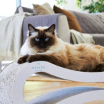 Nordic Modern Dog House, White - Image 2