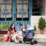 Ibiyaya Easy Strolling Pet Buggy Pram, Simple Grey - Image 8