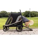 Ibiyaya Grand Cruiser Pet Stroller Accessible Dog Ramp - Image 4