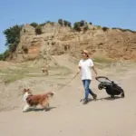 Ibiyaya Maxi Deep Carriage Pet Stroller, Twin Grey - Image 7