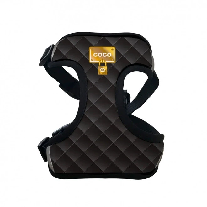 dog dental chew toy session using Classic Chewnel harness for control