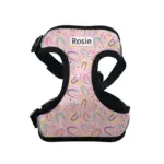 Personalised Pet Harness - Rainbow Dreams - Image 2