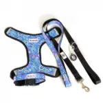 Personalised Pet Harness - Rainbow Dreams - Image 9