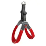 Cinquetorri Step-in Dog Harness, Red - Image 4