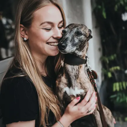 pet floor cleaner - Professional Guide and Review