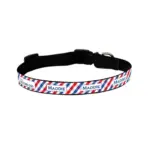 Personalised Dog Collar - Picnic Time