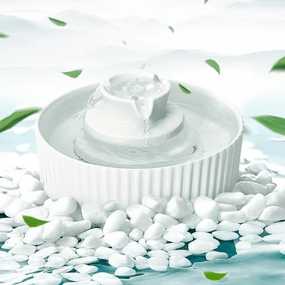 environmentally friendly dog poop bags - Professional Guide and Review