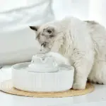 Ceramic Pet Water Fountain - Image 4