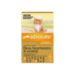 Advocate Orange For Small Cat