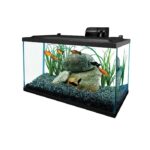 Tetra Glass Aquarium