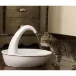 Pioneer Pet Swan Drinking Water Fountain - Image 4