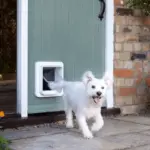 Sureflap Microchip Pet Door - Image 8