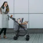 Ibiyaya Cloud 9 Pet Stroller for Dogs & Cats, Mint Green - Image 9