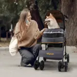 Ibiyaya Cloud 9 Pet Stroller for Dogs & Cats, Mustard Yellow - Image 10