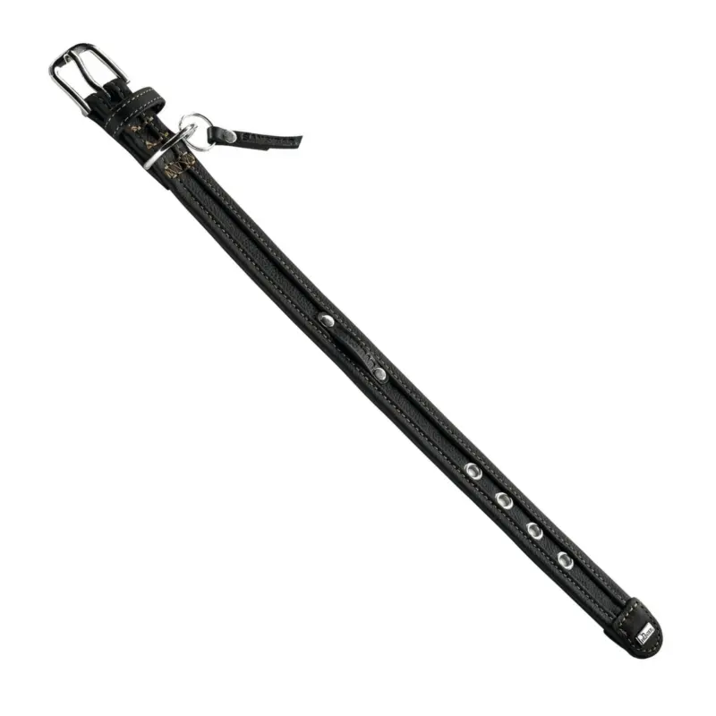 dog strollers australia - Professional Guide and Review