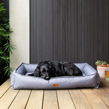 linen dog bed - Professional Guide and Review
