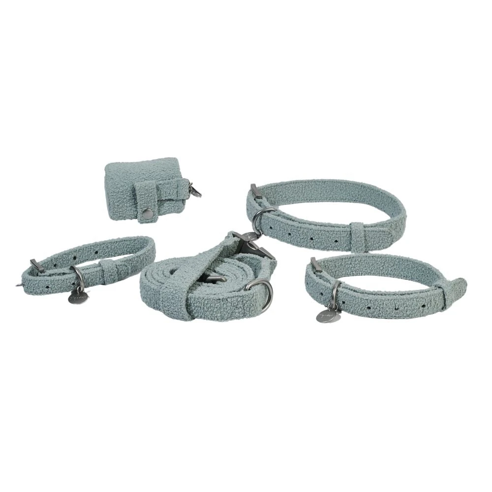 s pet engaged in morning enrichment routine with properly timed activities