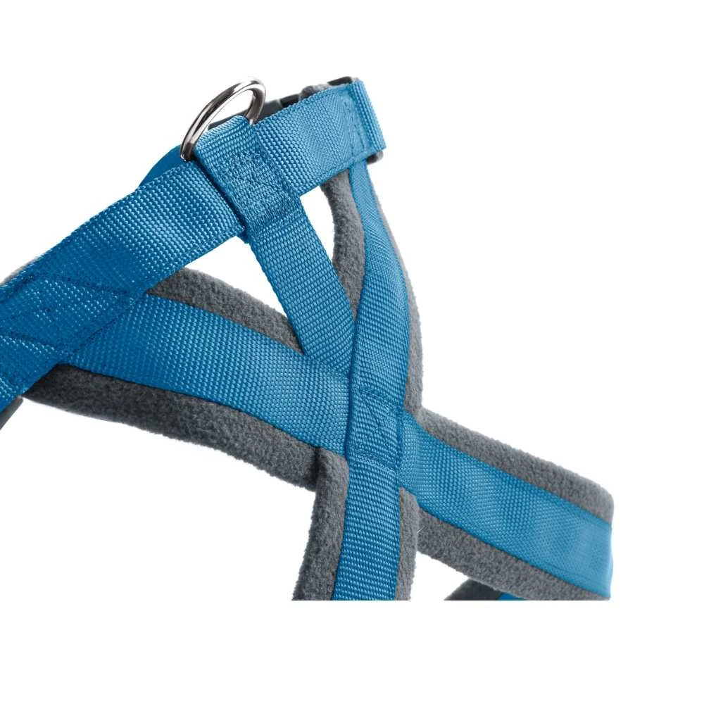 pet car bed harness anchor point in SUV