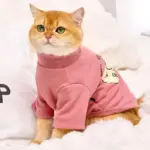 Cat Clothing